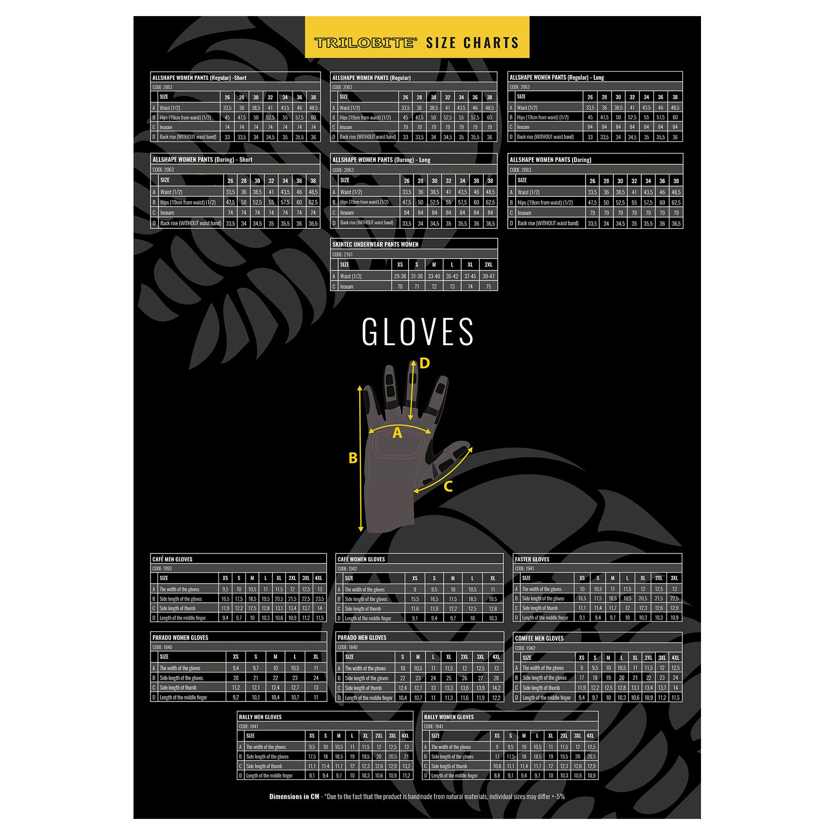 Größentabelle Trilobite: Maße je Größe